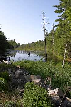 CRW_5352-10D.jpg