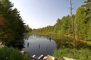 CRW_5357-1-10D.jpg