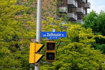 IMG_5399-10D.jpg